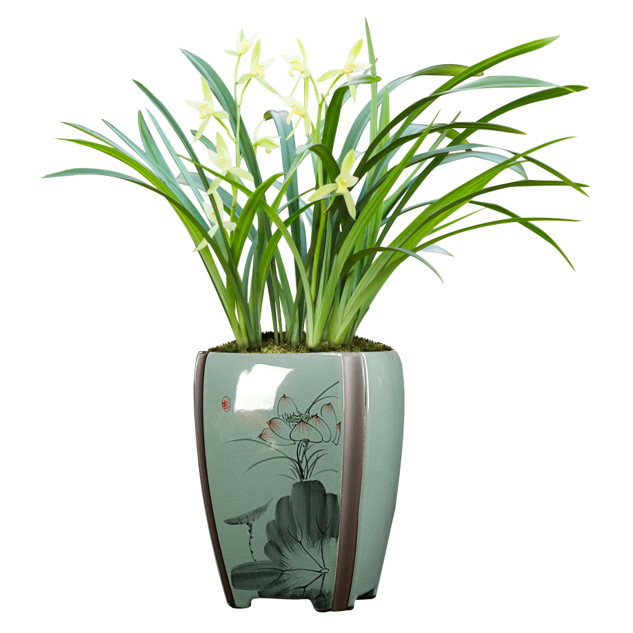 ���w�m�������罨�������Ũ��������̨�������� 3�統�꿪�����Դͷֱ��