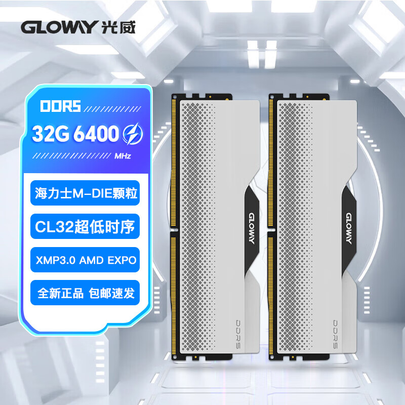 光威32GB套装DDR5 6000 台式机内存条 龙武RGB海力士A-die颗粒CL28 【D5 6400】龙武海力士颗粒 C32 16GB 2条套条