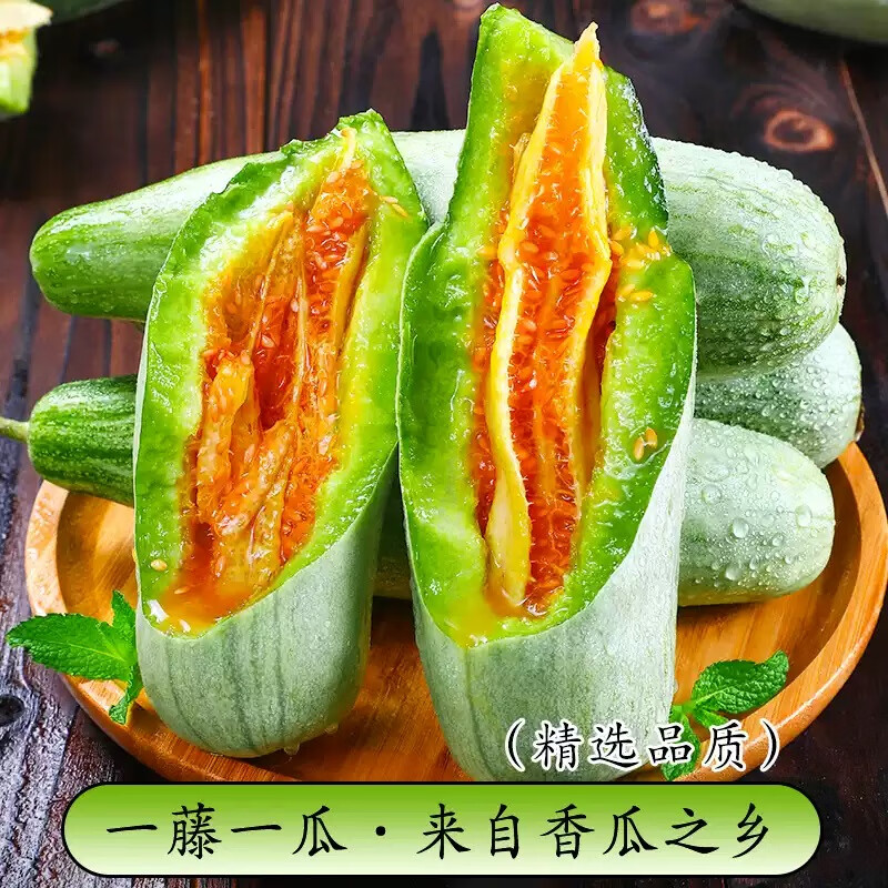 京觅山东头茬羊角蜜甜瓜 净重3斤单果250g起 新鲜水果 源头直发