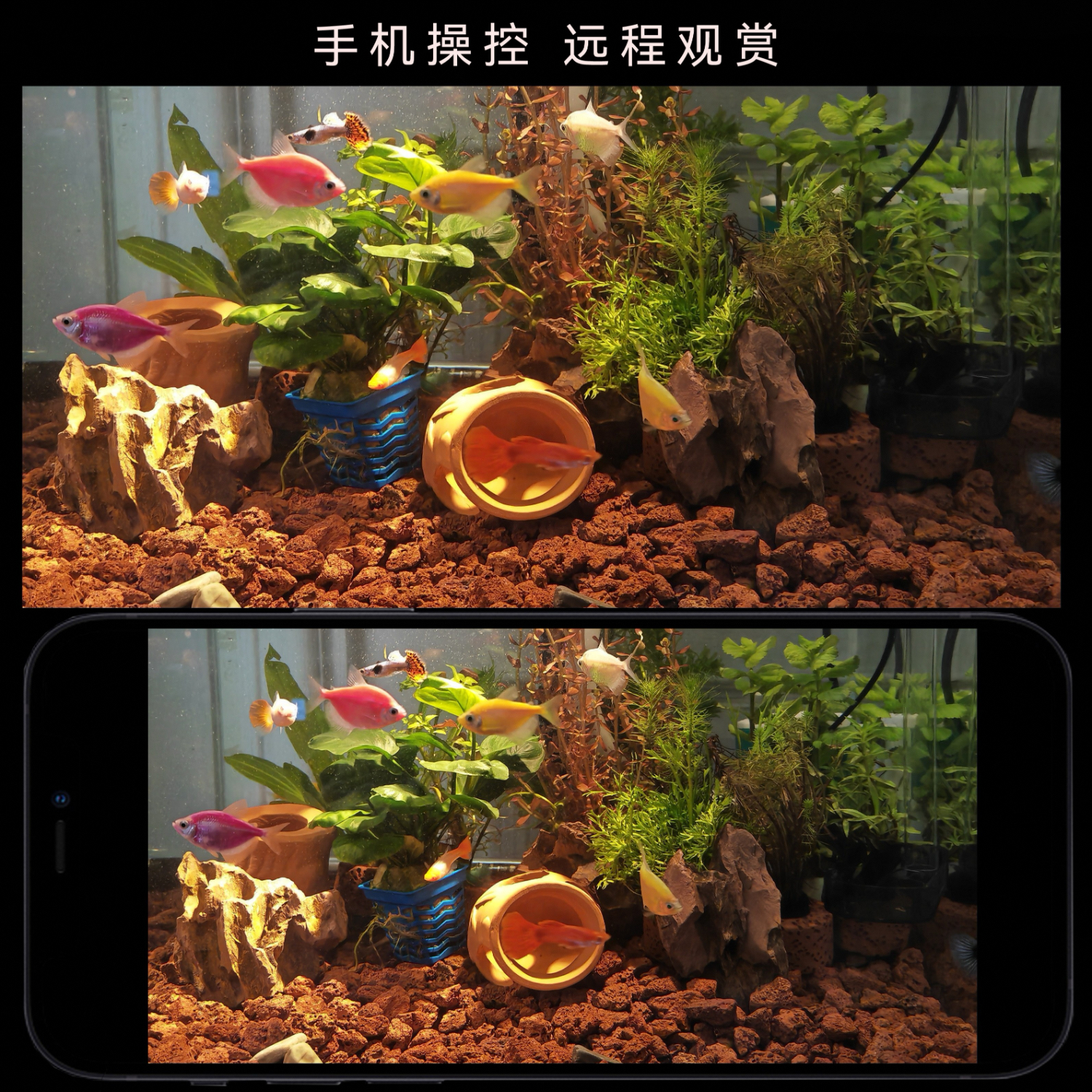 SpaceVision W 鱼缸相机鱼缸配件 水下直播 4K高清影像  鱼缸监控 基础版（适用缸壁厚度不大于8mm，不加盖）