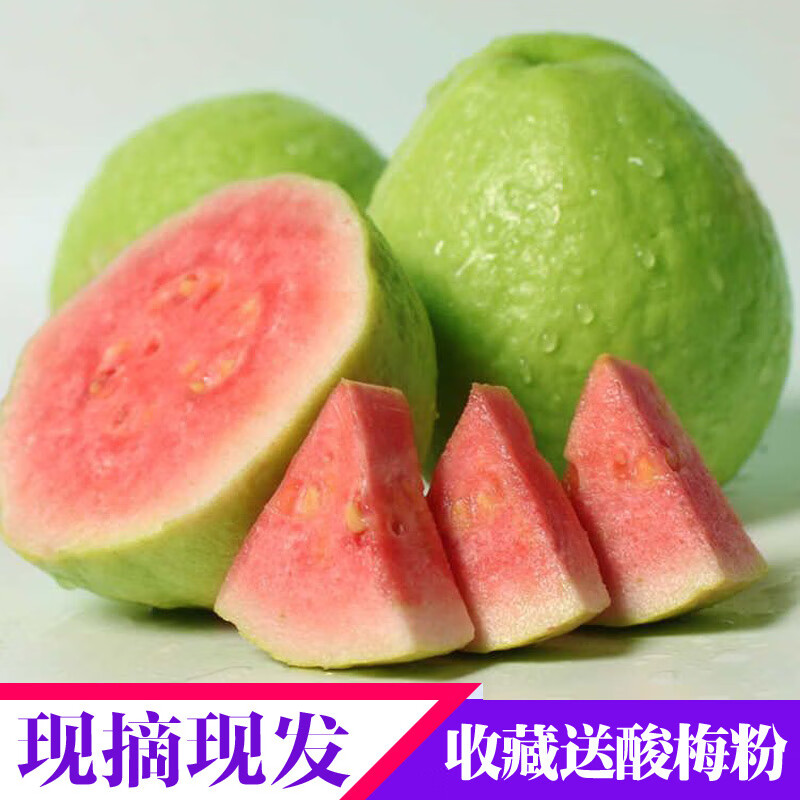 紅心芭樂漳州珍珠番石榴脆甜裝新鮮現(xiàn)摘當季果園 5斤