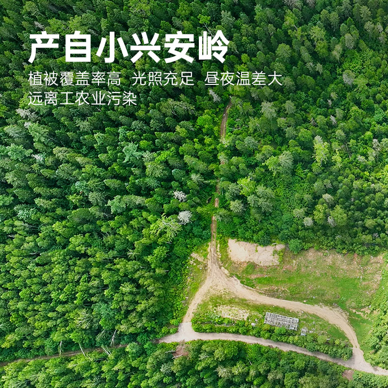 彩虹星球合作社有机丨有机野生蓝莓原浆小兴安岭蓝莓饮料箱装瓶蓝莓果汁 2箱装【100ml/瓶*16瓶】