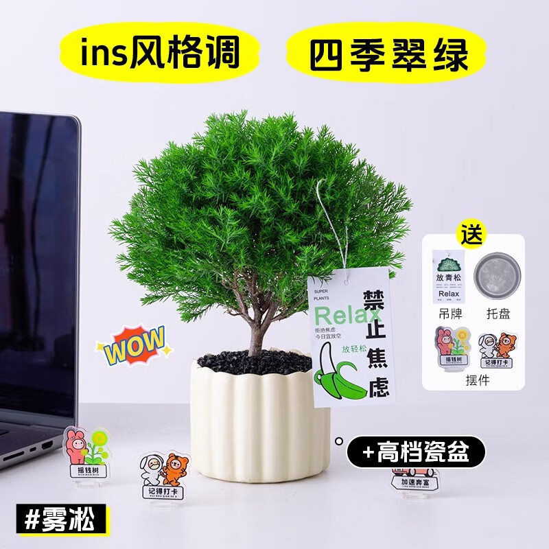 ���ڲ�����������ڡ��������ֲ������ֲ��������ļ��칫�����湤λ��ֲ�������� ��ڡ+����������+��С�ڼ�