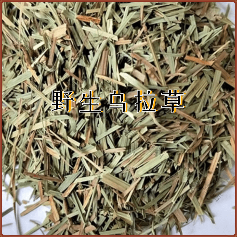 吾家余堂东北乌拉草 中药材 东北三宝乌拉拉草干草 原材料 乌拉草100克