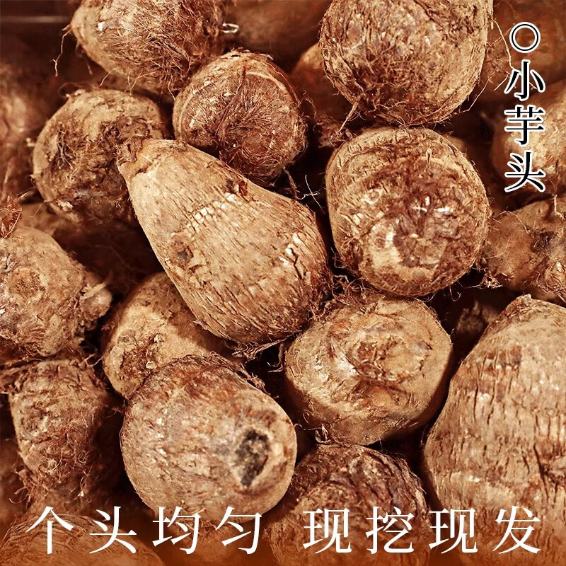 誉福园2026贵州牛奶芋头高山芋头毛芋艿奶香小芋头粗纤维低热膳食小芋艿 净重5斤装【单果30-50克】 牛奶小芋头