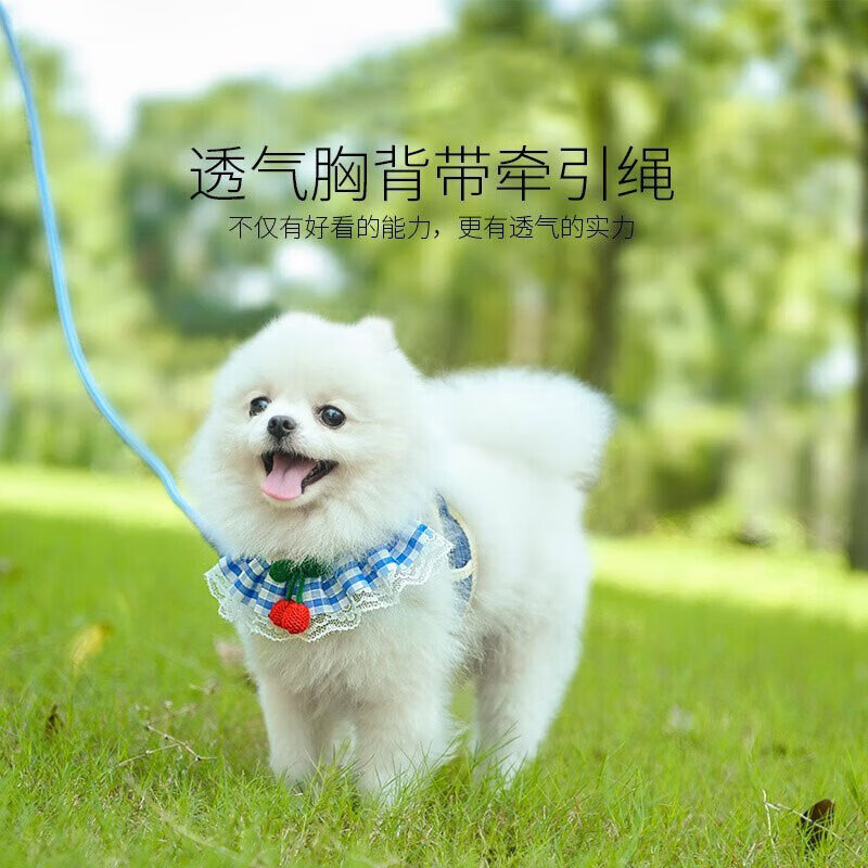 拉维佩特（LOVINGPET） 狗狗牵引绳胸背带 泰迪狗绳子可调节幼犬牵引绳小型犬遛狗绳子 蓝色 M 7-15斤左右 胸围35-60cm