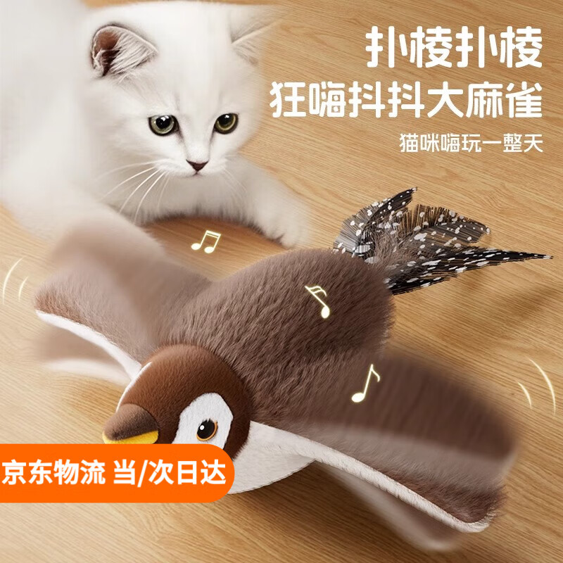 ��ַ����˶�����綯è����߷�������С������������������Զ���è��