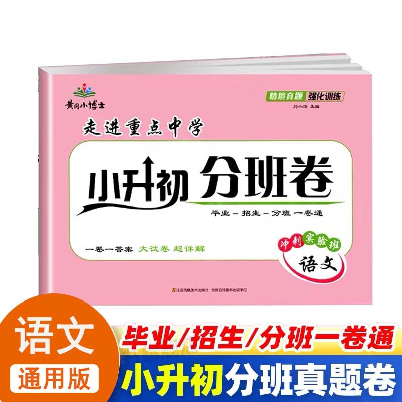 小升初语文模拟卷（2025新版）的简单介绍