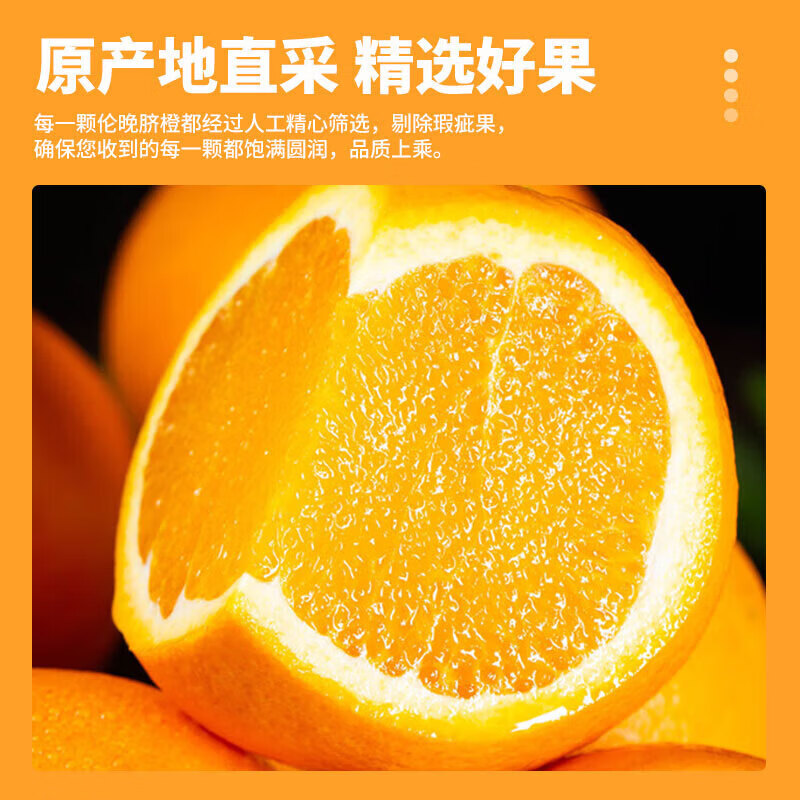集年鲜广西武鸣沃柑新鲜采摘现摘生鲜水果年货送礼 沃柑净重10斤(70-75mm)