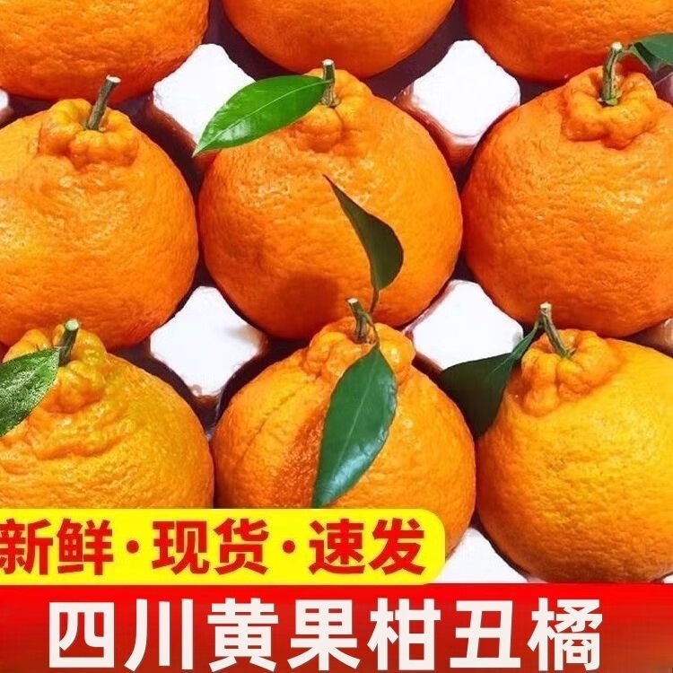 ���������Ĵ�Խ��Խ��Ļƹ��̳��������ʾ���8.5���д�����ƹ��̡�