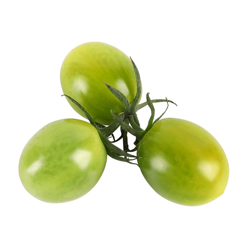 �ٺ� ʥŮ������С������С���Ѵ�ȫ���Ҵ��ﶬ���ļ��ֲ��߲��ٹ�� ������ŷ�������5��װ