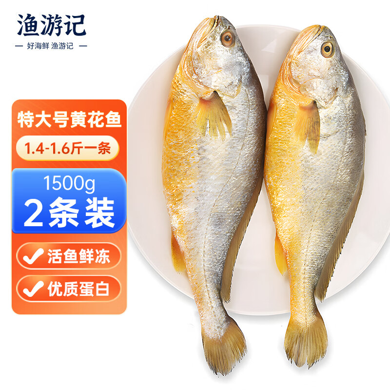 漁游記黃花魚(yú)國產(chǎn)大黃魚(yú)凈重3斤速凍魚(yú)類(lèi) 海鮮水產(chǎn) 1.4-1.6斤*2條