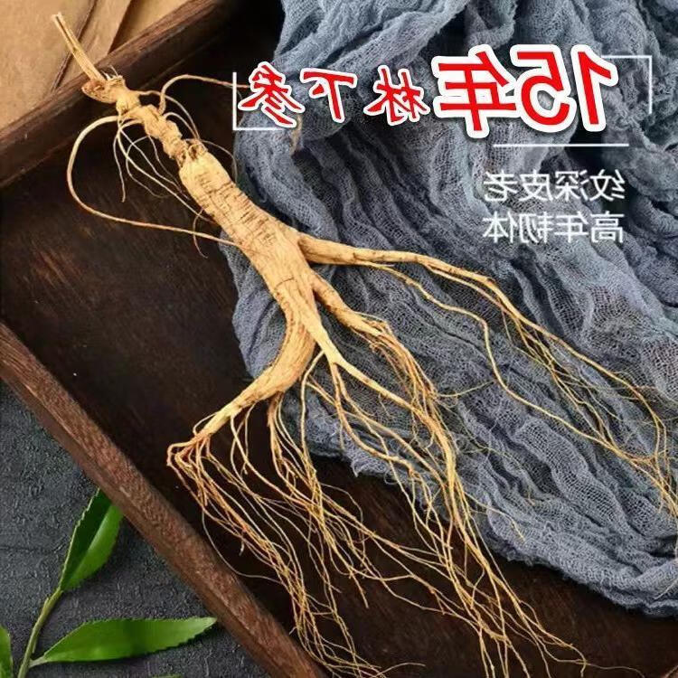 北京同仁堂【參農(nóng)一手貨源】正宗長白山林下參非園參足干足年整支煲湯泡酒 整支 15年參齡 林下山參 500克