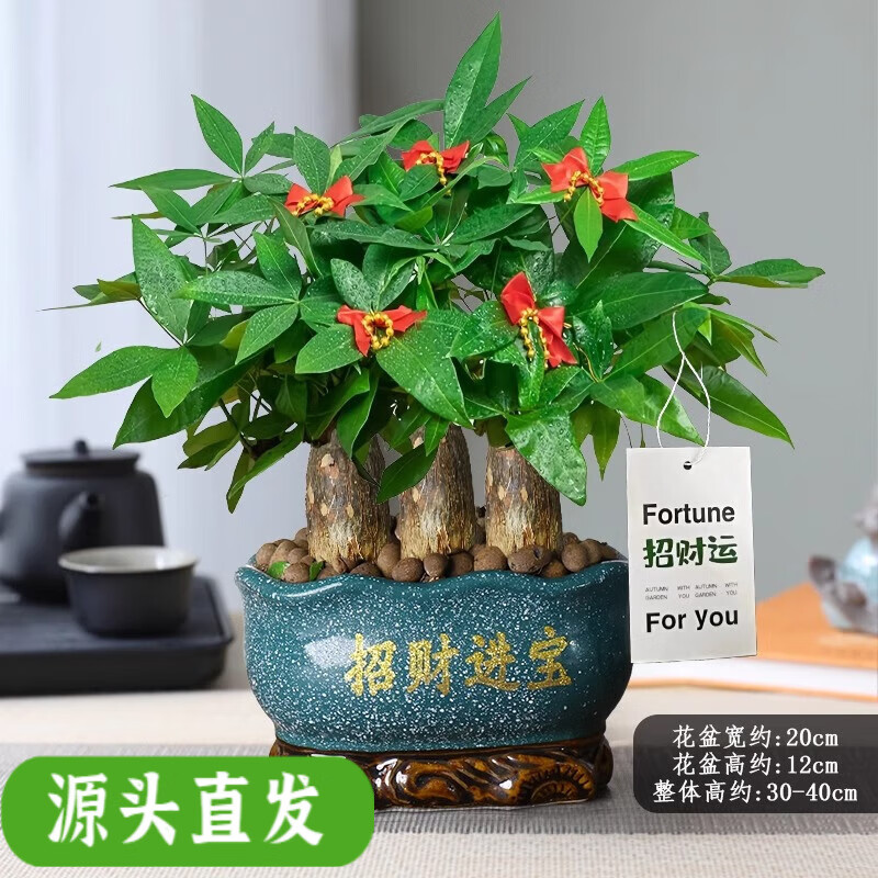 ���ڲ�������ѩ¥���˷���������������ֲ�ڼ����ڰ칫�ҿ���ֲ���·����� ���˷�����+�вƽ����衾�������ԡ� ��������+������ 59.8Ԫ