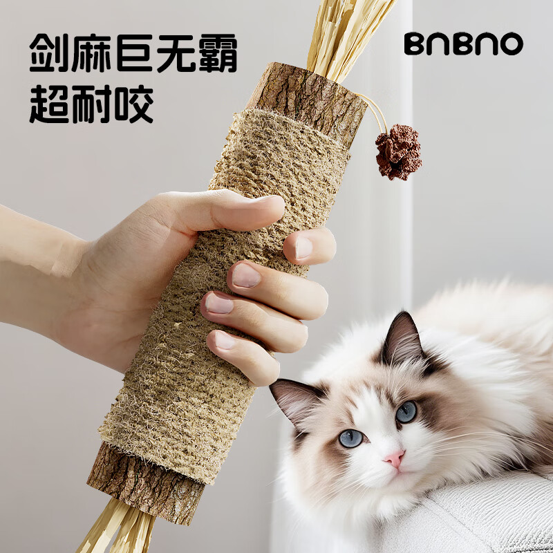 ���ڲ�����BNBNO������ް�ľ��ޤ���Ʋ�è������˽��ƶ�è��ĥ����è����������