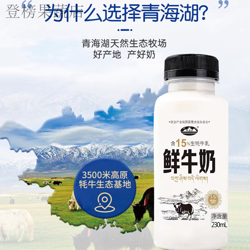 高原鮮牛奶230ml8瓶裝含15生牦牛乳巴氏低溫冷藏鮮奶 230ml*8瓶[含15%牦牛奶/瓶]