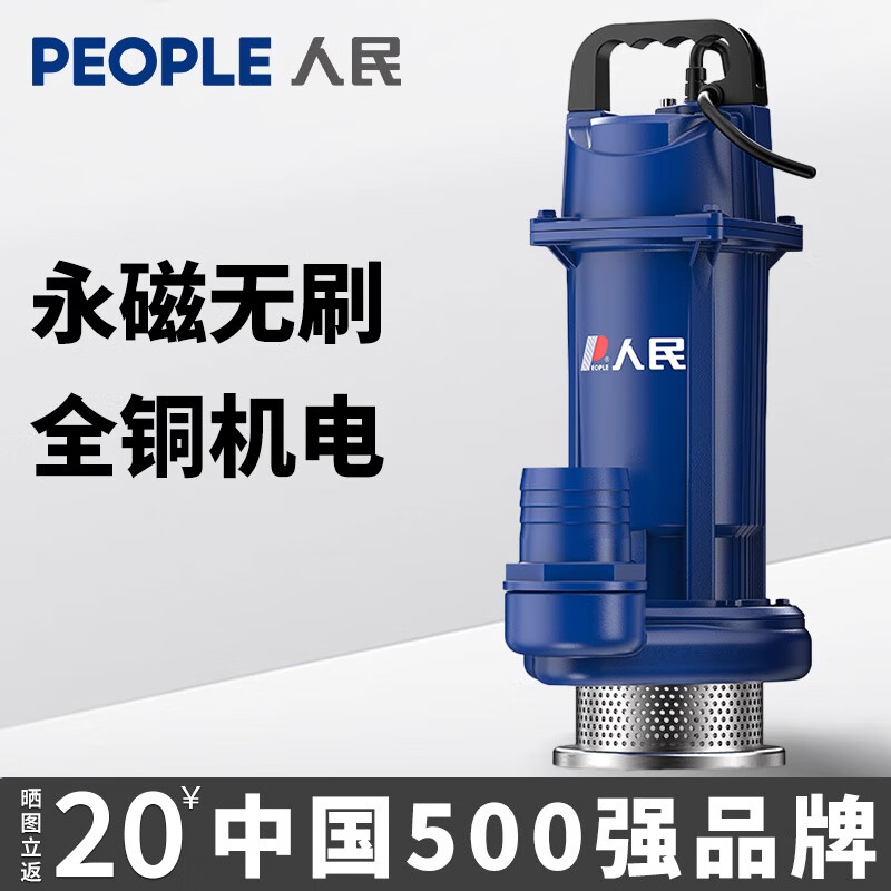 人民無刷電瓶車抽水泵家用直流潛水泵農(nóng)用48v電動車水泵12v電瓶抽水機 高揚程24V 450W1寸10米線