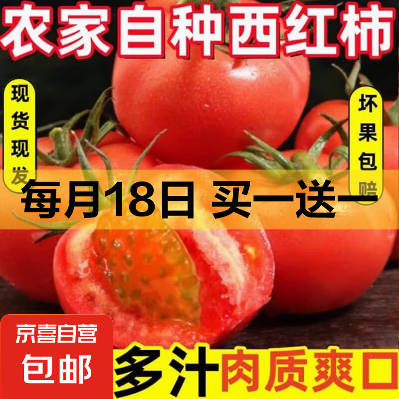 山东西红柿水果沙瓤西红柿多汁纯天然农家种植单果50g 西红柿 1斤 试吃款