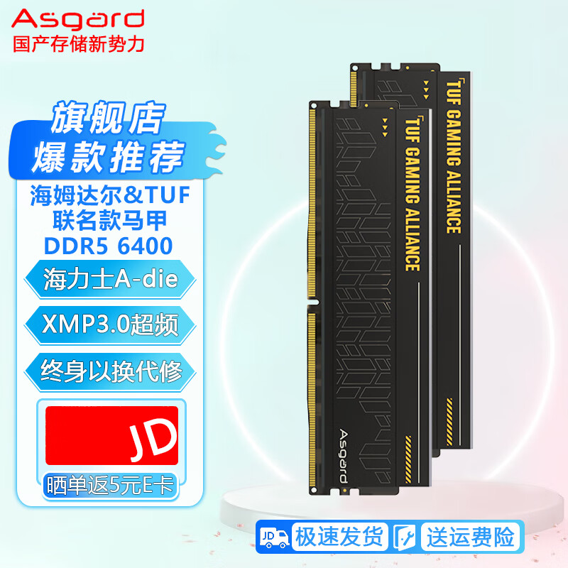 阿斯加特(Asgard)台式机内存条适配海景房机箱海力士颗粒DDR5金伦加华硕TUF联名 海姆达尔联名DDR5 6800 A-die C32 32GB 2条套条 (16G*2)