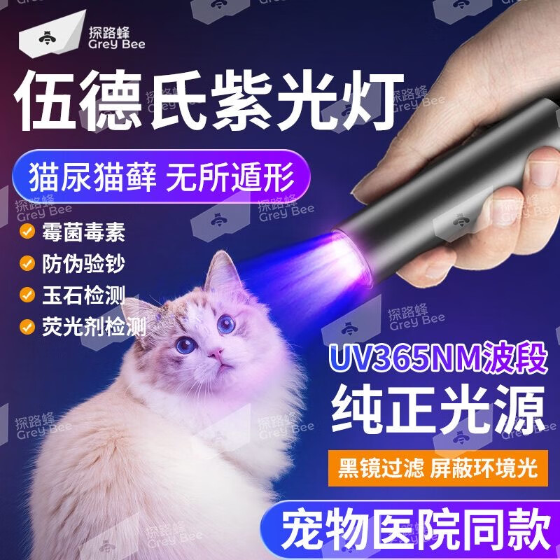 探路蜂紫光灯手电筒鉴定紫外线灯伍德式灯365紫外线照射果蔬残留验钞灯