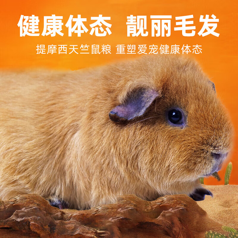 牧草物語提摩西天竺鼠糧2.5kg荷蘭豬主糧豚鼠糧荷蘭豬糧食豬飼料