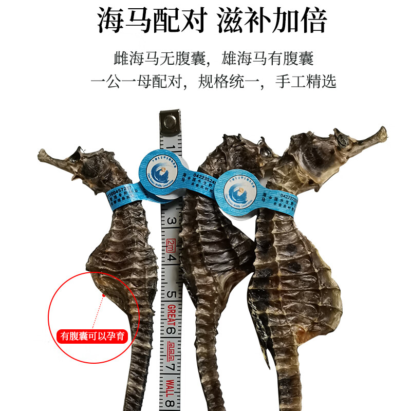 海马干货一公一母大型海马干泡酒组合六角海龙海麻雀滋补汤料药材 1对 10g*1袋 公母配长17-18cm