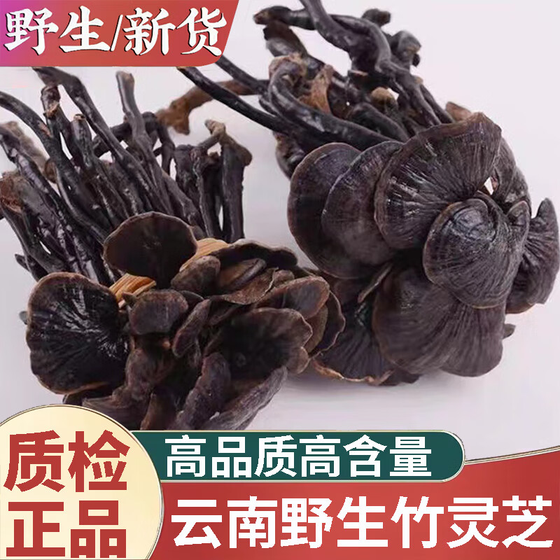 北京同仁堂原料云南深山野生竹靈芝中藥材500g正宗天然整株帶柄小紅靈紫靈芝 野生竹靈芝250克
