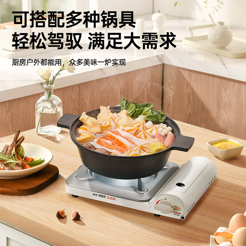 岩谷户外卡式炉卡磁炉瓦斯炉家用火锅炉具烧烤炉子野炊卡斯炉燃气灶 超值野炊套箱【白色】