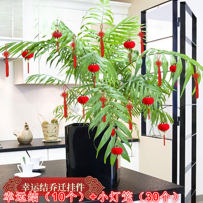 相思桐植绒小灯笼福字挂件马年2026新年装饰品元旦盆景绿植盆栽吊卡挂饰 幸运结(10个)+小灯笼(30个)