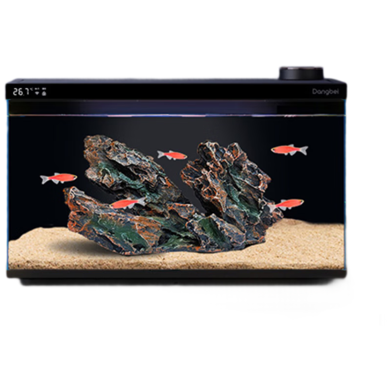 ����������̬���1Ultra һ�����ѭ��������� ����ʯ�쾰�ײ�