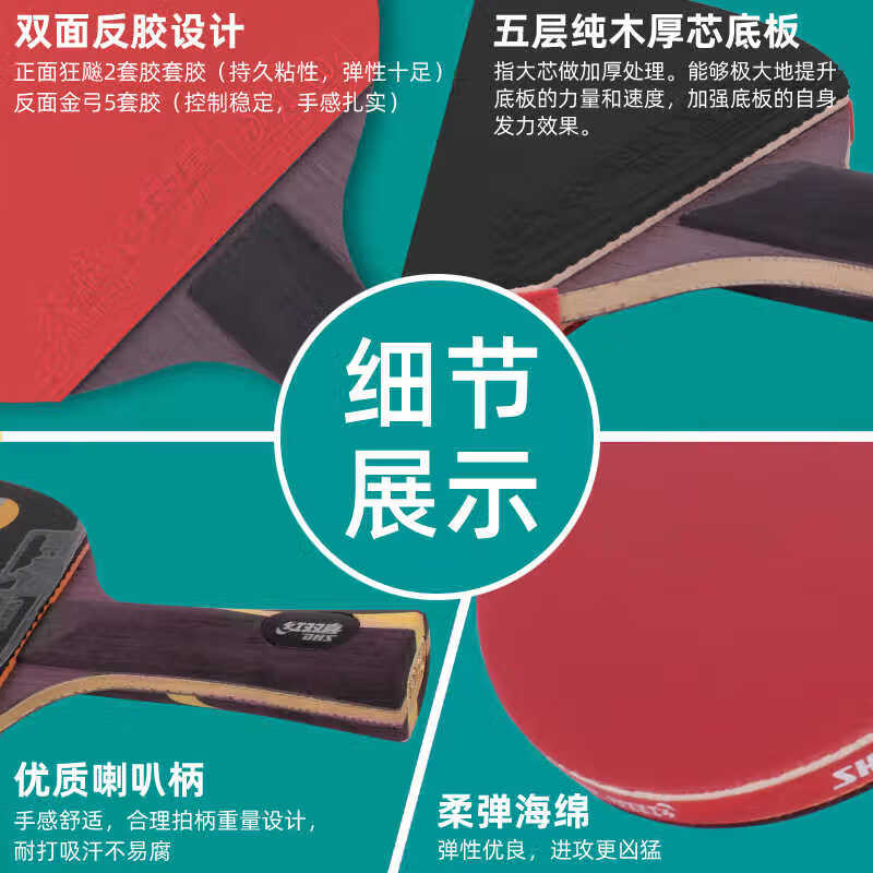 红双喜（DHS）红双喜专业级狂飚PRO乒乓球拍单拍高级狂飚王龙底板直横拍兵乓拍 9星 横拍 狂飚PRO-横拍1支