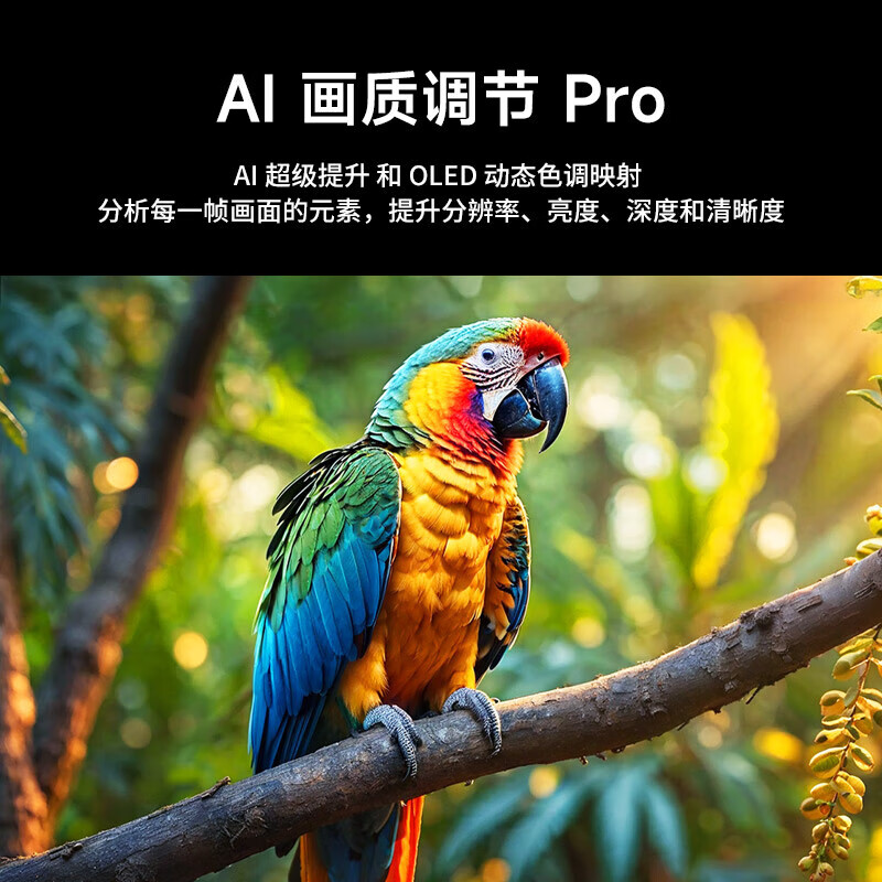 2025年大屏4k超清电视十大品牌排行榜：这10款画质极致，超清体验-图片4