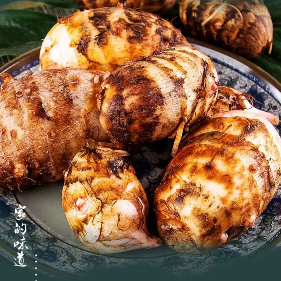 浙江金华新鲜现挖红芽芋头仔红嘴小毛芋头香芋艿软粘粉糯自种蔬菜 5.3斤精选大果【80-150克/个】