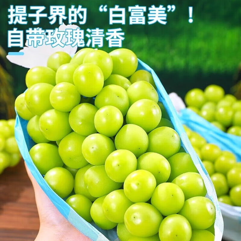 产品特写五