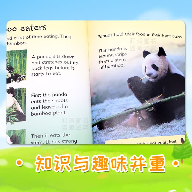 Usborne Beginners 尤斯伯恩初学者 初探系列 自然 动物 儿童科普百科绘本