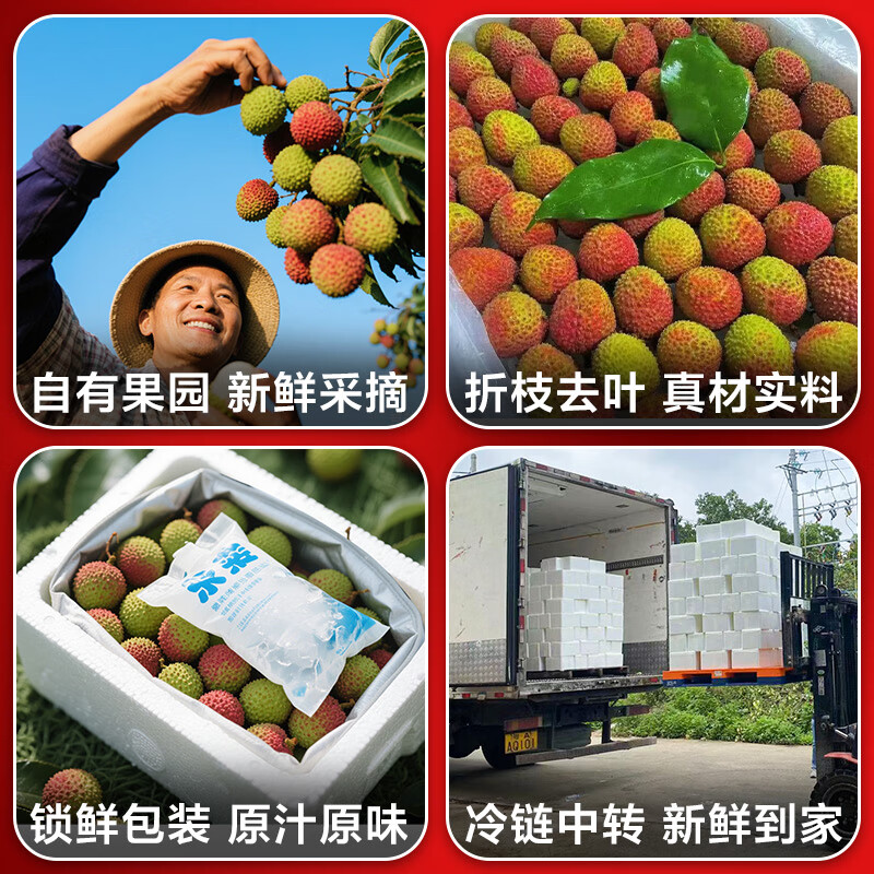 土八鲜【顺丰/JD】海南妃子笑荔枝 海口新鲜水果热带现摘当季荔枝礼盒 【超值推荐】净重4.5斤/Q弹爽口