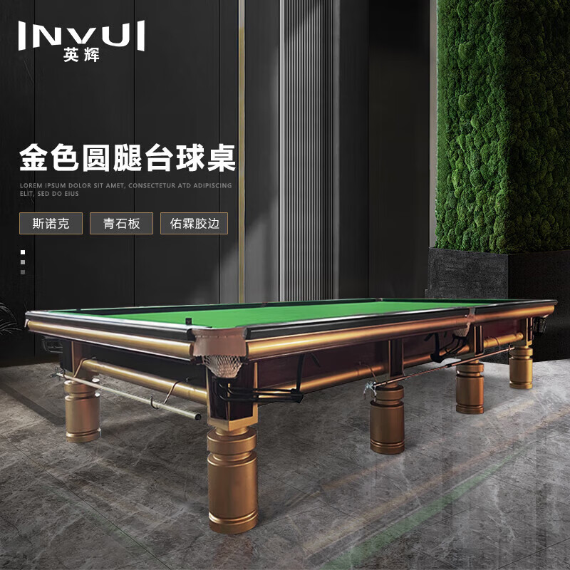 英辉（INVUI） 台球桌斯诺克成人标准桌球台 12尺台
