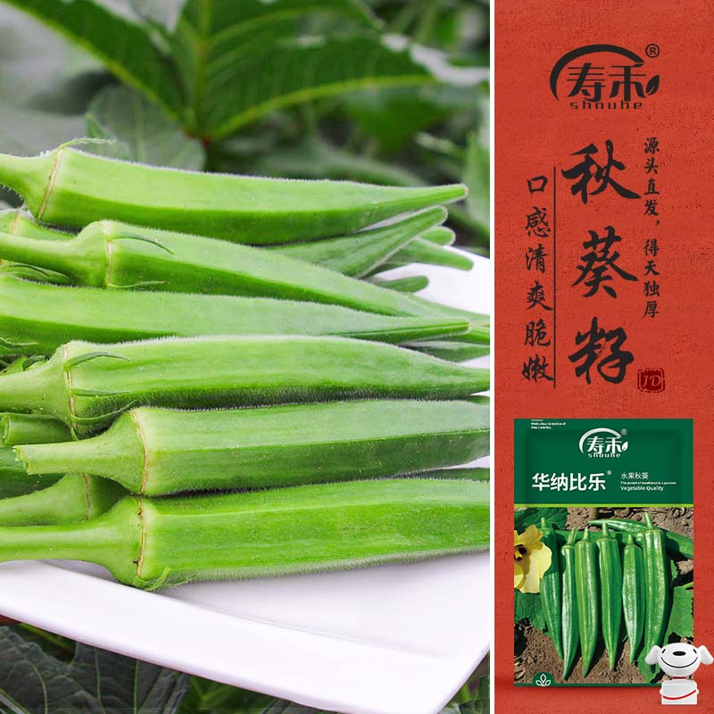 �ٺ� ˮ����������綬�������߲����� Ϋ�����ɱ���ˮ���������10g 13.8Ԫ