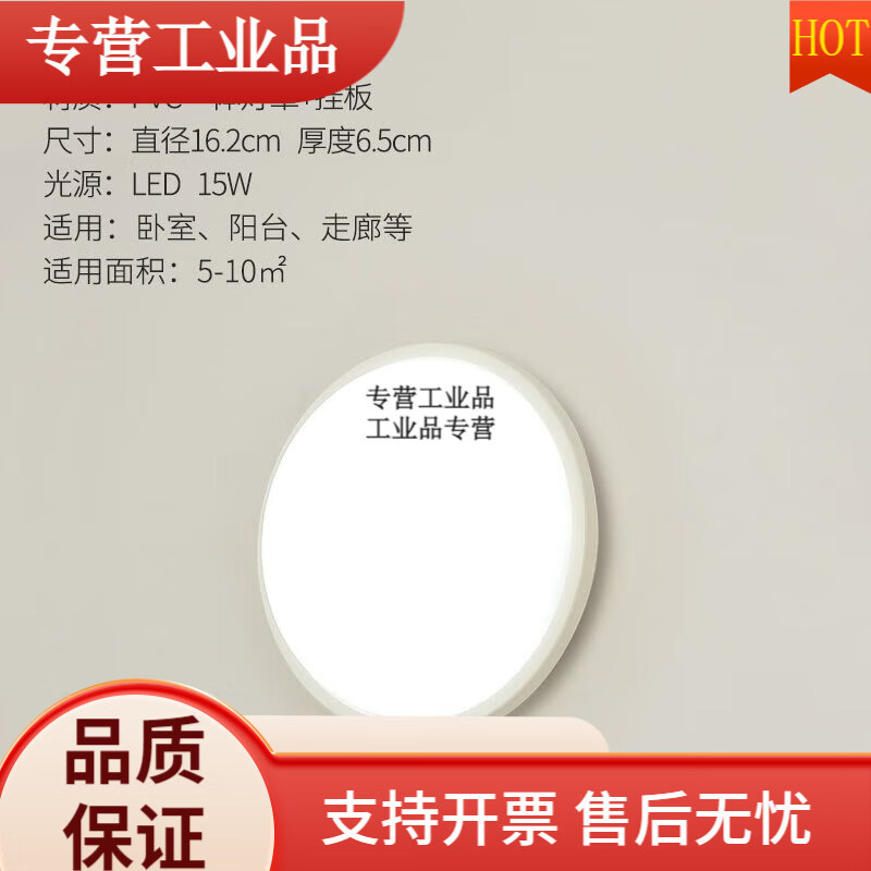 極簡壁燈墻燈戶外防水led衛(wèi)生間頂燈陽臺樓梯燈過道走廊掛壁燈 亮-圓形小號15w白光壁兩用