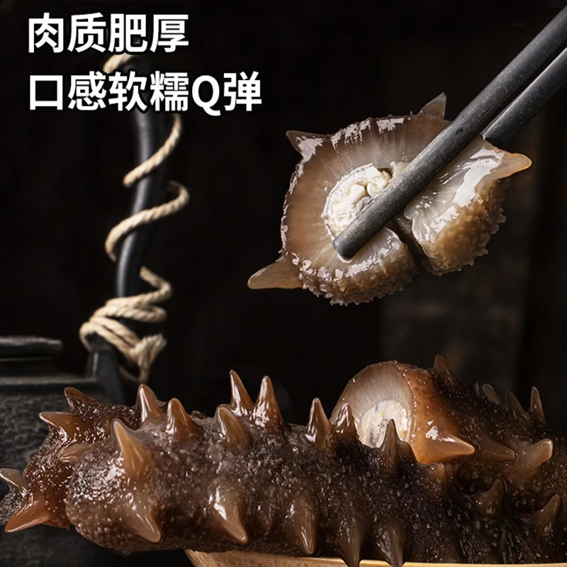 老尹家即食海参冷藏速食7年滋补中秋礼品送父母礼物80g/只礼盒 即食海参 80g /只 10只