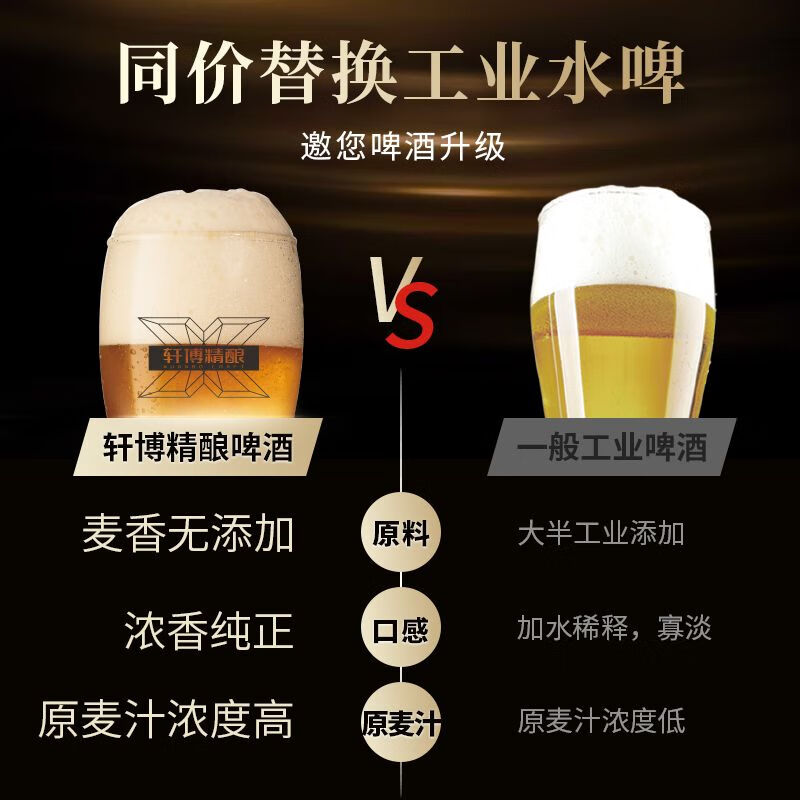 轩博精酿啤酒 小麦白整箱装 春日畅享 全麦精酿啤酒880ML*6