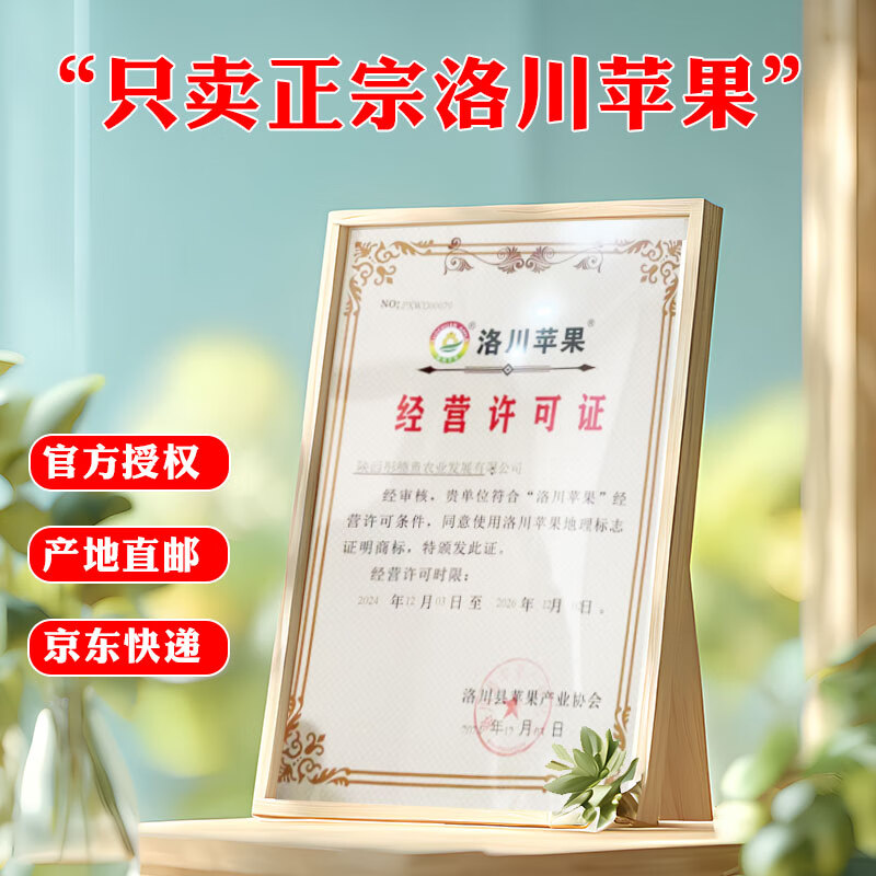 冉沃优选陕西洛川红富士苹果当季新鲜水果脆爽多汁果肉细腻源头直发整箱 净4.5斤品质大果  80-85mm果径