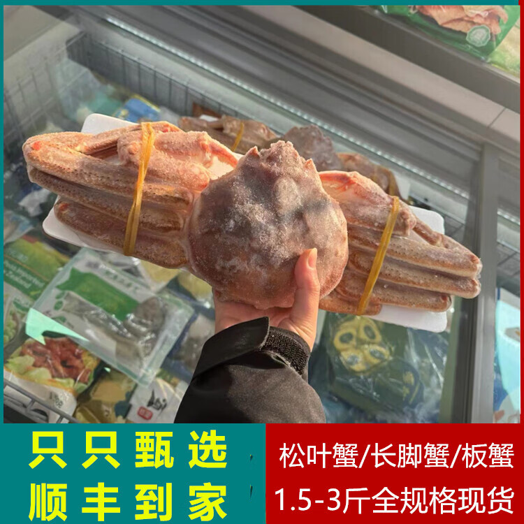 【搶4只松葉蟹】俄羅斯長腳蟹板蟹雪蟹帝王蟹腳新鮮冷凍海蟹800g 1.5-2斤/只*【1只裝】松葉蟹 800g