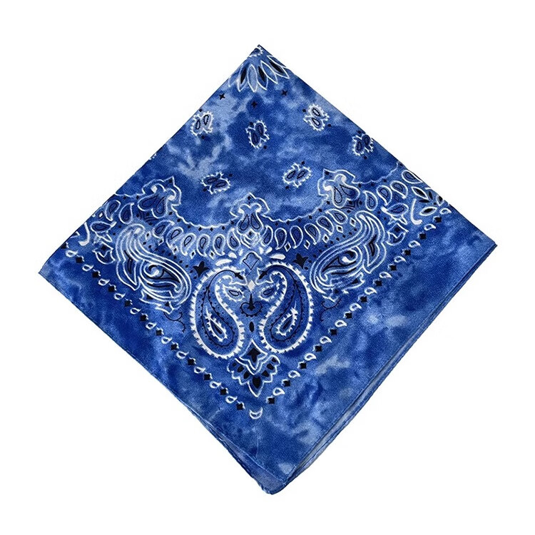 色彩熊克莱因蓝色腰果花头巾发带复古美式潮流百搭hiphop头巾丝巾配饰女 蓝色头巾