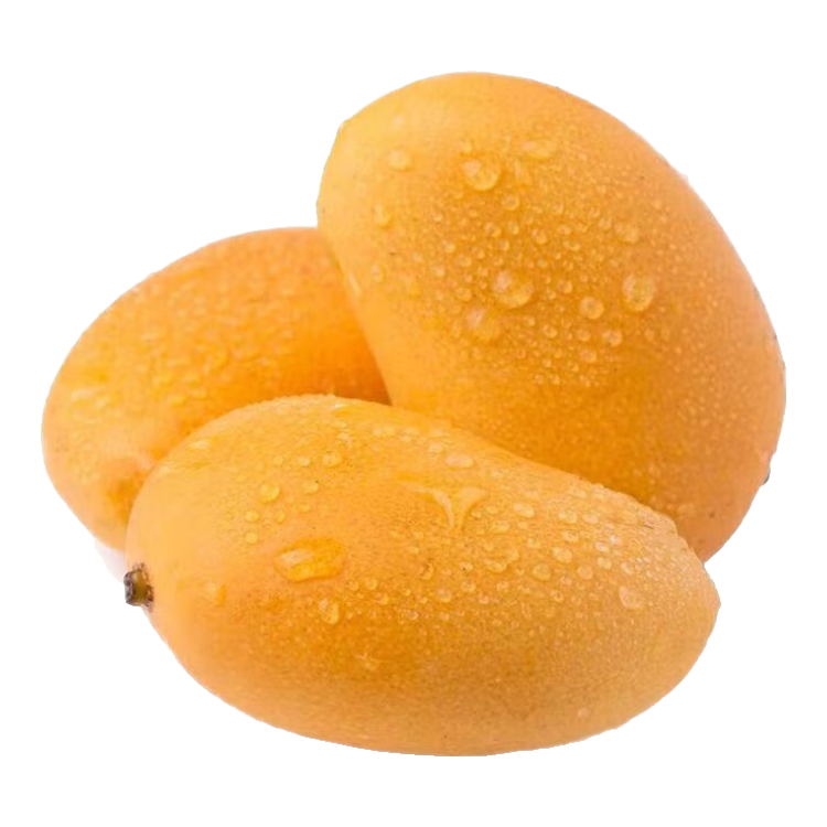 С̨â2.8-4.5ﵱزˮ΢Ƥװ С̨â4.5װ100g-15.19Ԫ