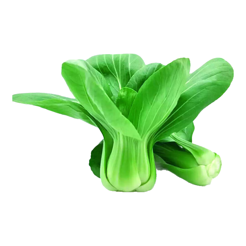 花沃里耐寒蘇州青油菜種子20g 蔬菜種子四季白菜蘿卜種籽家庭陽臺(tái)庭院種 花沃里蘇州青油菜20g*1包