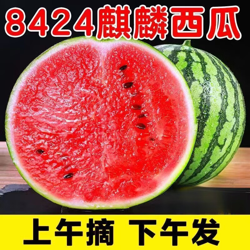 麒麟西瓜 净重8-9斤