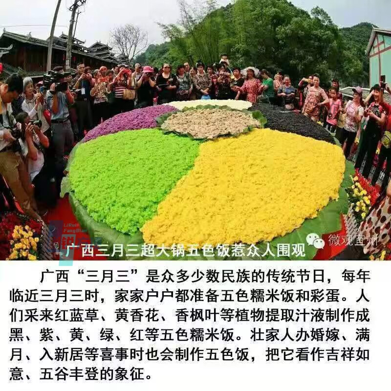 廣西糯米飯 染米草 植物染料 五彩米 花米飯 五色染料材料 五色飯植物套餐【黃綠藍(lán)粉黑】