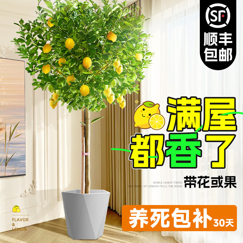 ���ڲ�����������ˮ���������Դ������������ֲ��������������ļ���������ֲ�� ������1.3-1.5��(������)����˿ 125.8Ԫ