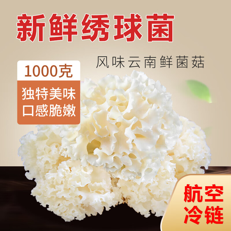 高原云品【新鲜绣球菌】 净重2斤 新鲜菌菇 干巴菌鲜菌菇煲汤 源头直发
